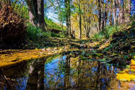 Wallpaper Nature Trees Water Reflection Landscape 1920x1280