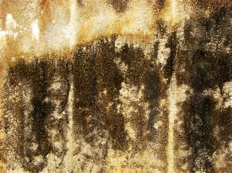 30 Awesome Examples Of Dirty Wall Textures Tutorialchip