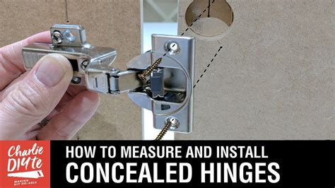 How To Measure And Install Concealed Hinges On Cabinet Doors Blum Hinges