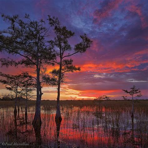 There Is Nothing Like An Everglades Sunset With Images Everglades