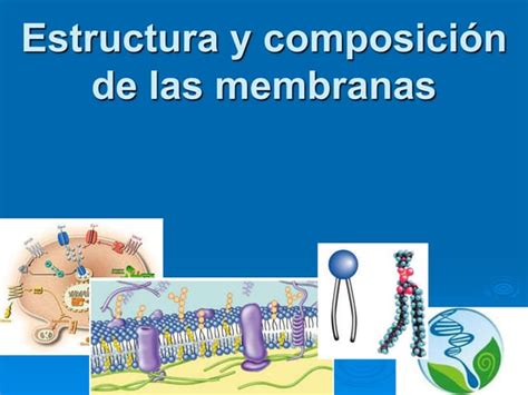 Composición Y Estructura De Las Membranas Biológicas Ppt