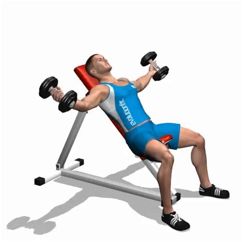 How To Perform Incline Dumbbell Flyes Chest Exercises