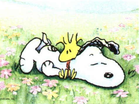 Snoopy Spring Wallpapers Top Free Snoopy Spring Backgrounds