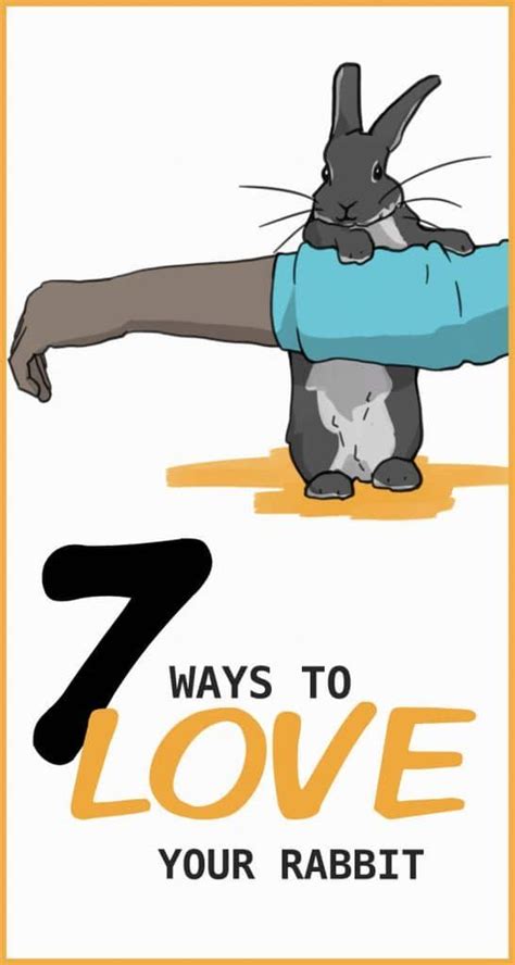 An Image Of A Rabbit Doing Yoga With The Words 7 Ways To Love Your Rabbit