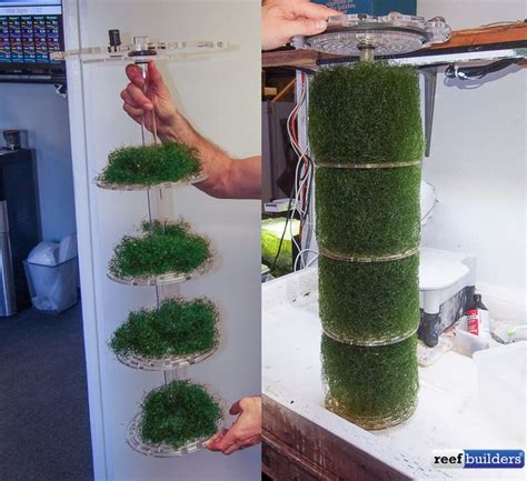 Impulse purchased an algae turf scrubber. 44 best DIY Algae Scrubber images on Pinterest | Aquariums, Fish aquariums and Fish tanks