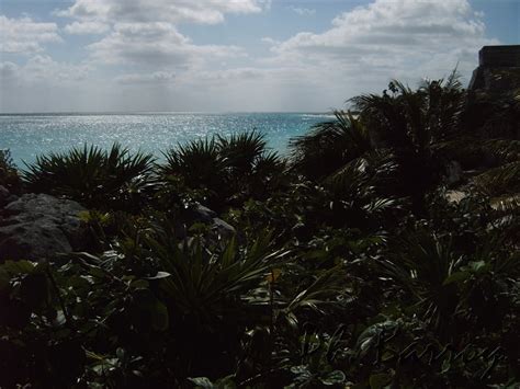 Search over 90+ million stock images, footage & vectors. Paysages du Mexique: Paysage du Mexique - Tulum , Quintana ...