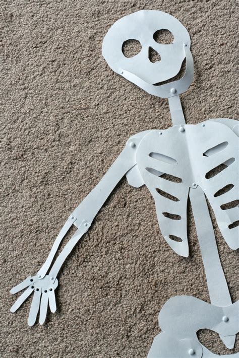 Diy Halloween Decoration Life Sized Skeleton