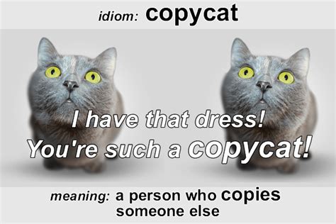 Idiom Copycat Funky English