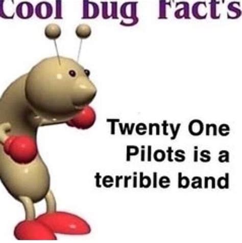 Another Episode Of Cool Bug Facts Rmemes