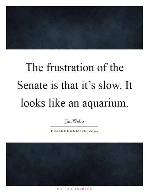 It is a wonderful feeling of happiness for some people who immensely love water, beaches, and aquatic animals. The frustration of the Senate is that it's slow. It looks like... | Picture Quotes