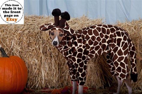 Last Day To Order Giraffe Pet Costume Large Custom Made For Dogs 16 20