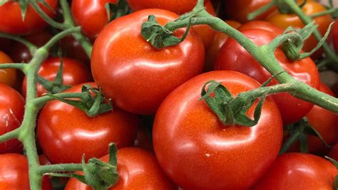 Why Tomatoes Were Once Considered Poisonous