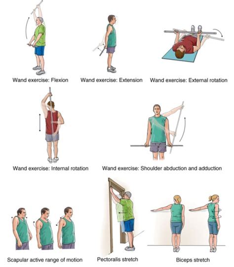 Frozen Shoulder Exercises How Fast Will They Work