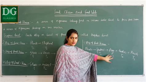 Food web synonyms, food web pronunciation, food web translation, english dictionary definition of food web. Class -10 th, Topic-food chain and food web - YouTube