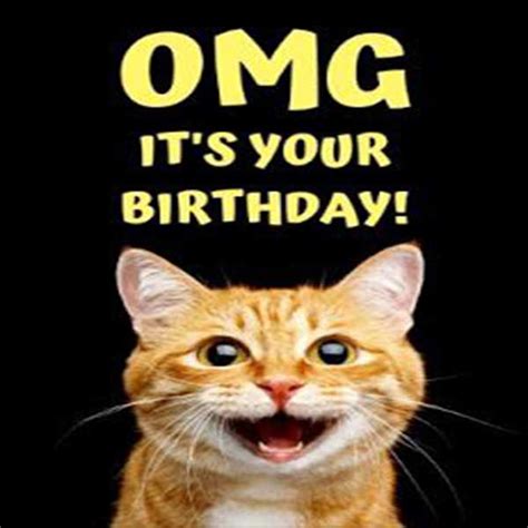 Best Happy Birthday Images For Heart Melting Birthday Wishes Talesbuzz