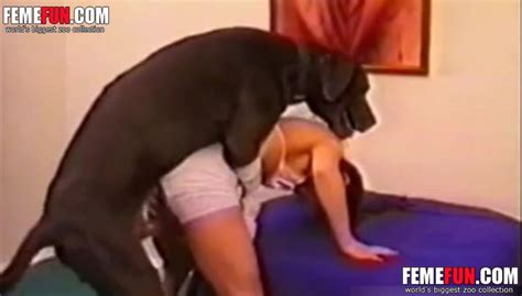 Bestiality Sex Big Dog Looks More Like A Monster Xxx Femefun