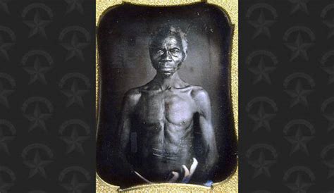 harvard profits from early photos of slaves lawsuit says honolulu star advertiser