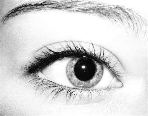 Black And White Eye Stock By Swordexpert Stock On Deviantart