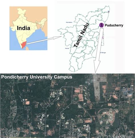 Pondicherry University Campus Map Gracia Georgeanne
