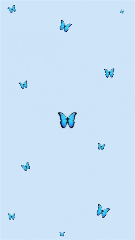 44 Wallpaper Aesthetic Blue Butterfly  New Wallpaper