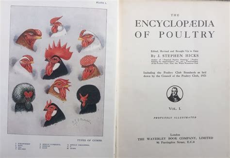 Antiques Atlas Chickens Ducks And Turkeys Poultry