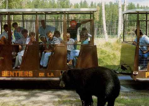 Les Zoos Dans Le Monde Zoo Sauvage De Saint Félicien Tourisme