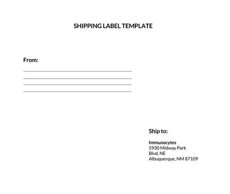 Free Printable Shipping Label Templates Word PDF