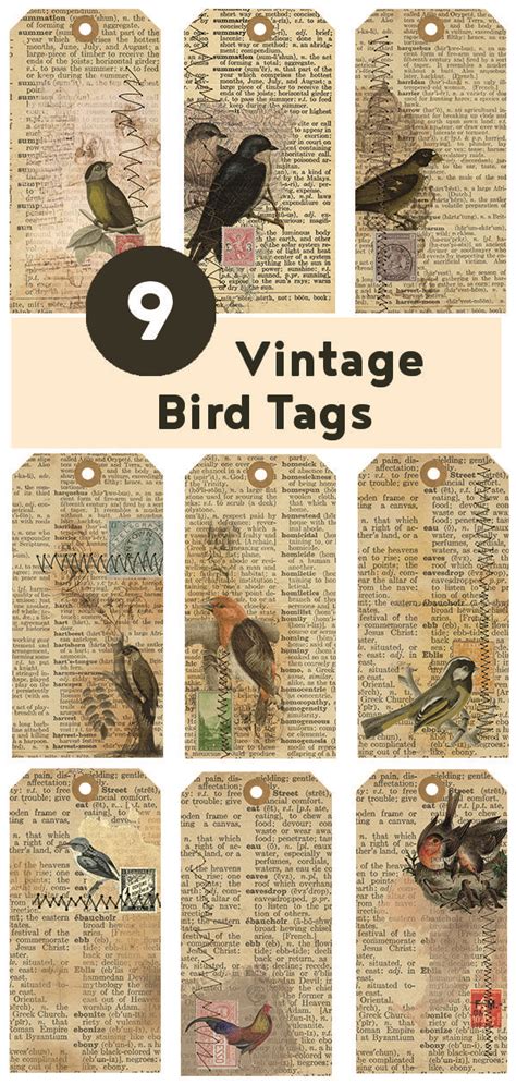 Digital Vintage Ephemera Tags Birds Vintage Ephemera Vintage Etsy