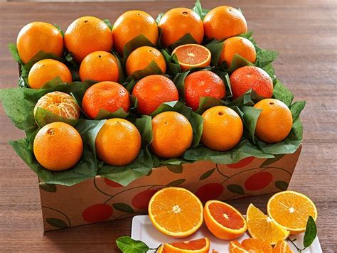 Amazing Oranges