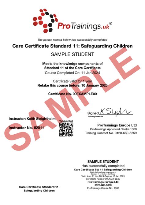 Care Certificate Standard 11 Safeguarding Children Course Details