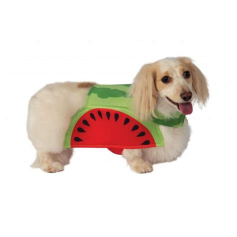 Rubies Watermelon Dog Costume Baxterboo
