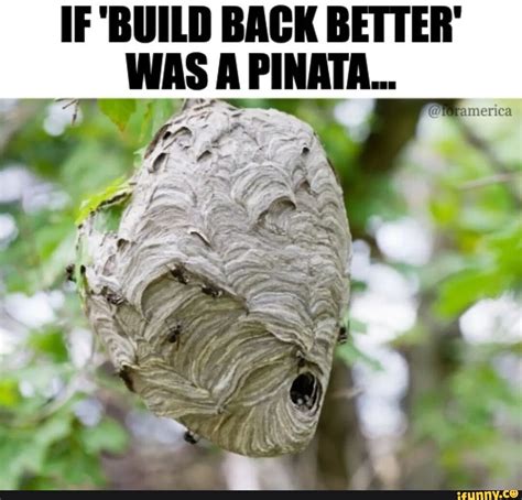 Pinata Memes Best Collection Of Funny Pinata Pictures On Ifunny