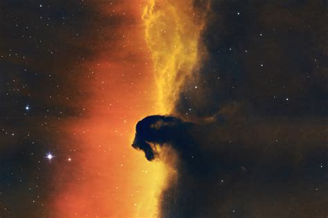 Horsehead Nebula Telescope Live