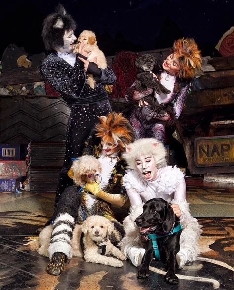 Cats The Musical Costumes Rental
