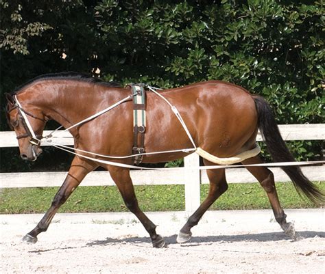 Pessoa Training Aid Horse Lunging System With Roller Lunge Surcingle