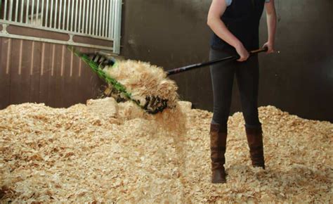 8 Tips To Speed Up Stall Cleaning And Mucking Out Seriously Equestrian