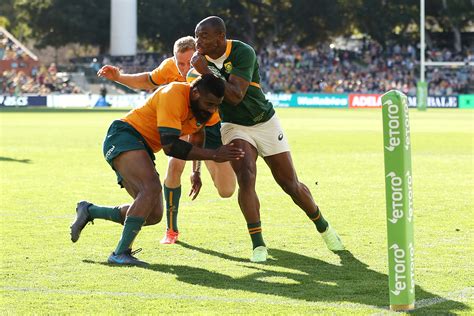 Rugby Championship 2022 Australia Vs South Africa Wallabies Hail Outrageous Winger Marika