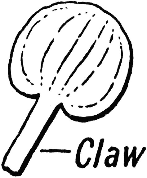 Claw Clipart Etc