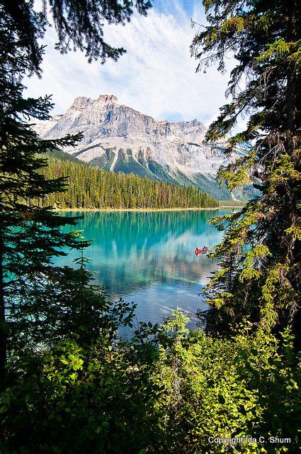Emerald Lake Alberta Ca Живописные пейзажи Пейзажи Природа