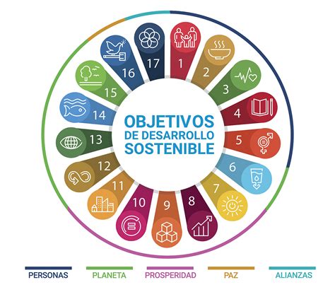 Los ODS Objetivos Y Metas ODS Empresas Canarias