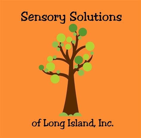 Sensory Solutions Of Long Island Inc East Setauket Ny