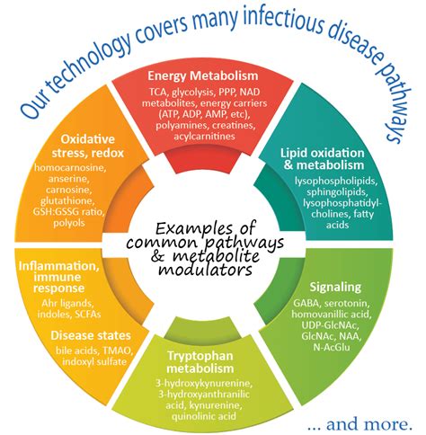 Infectious Disease Human Metabolome Technologies