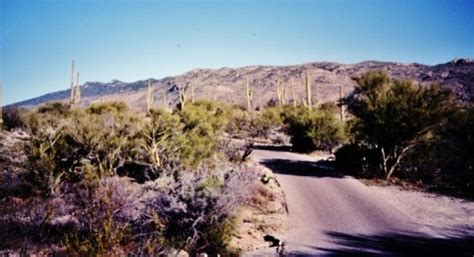 Saguaro National Park Photos ~ Sonoran Desert Near Tucson Arizona