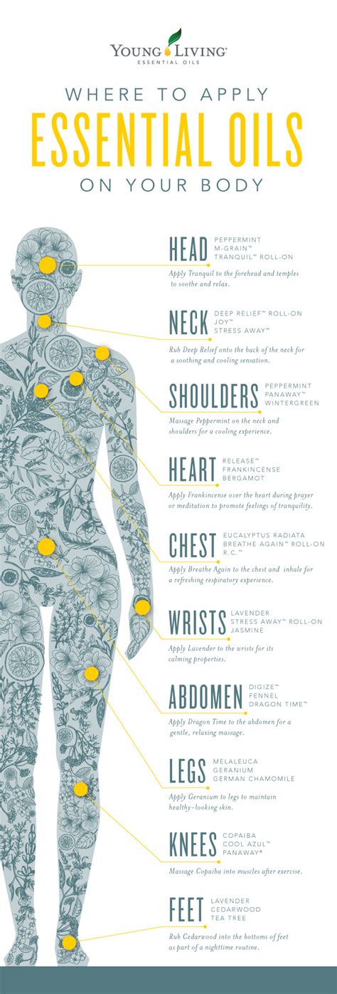 Where To Apply Essential Oils On Your Body Living Lights Embrace