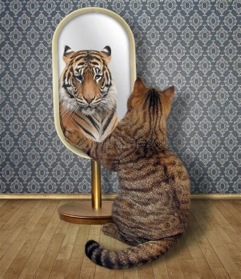 Наше отражение в зеркале сильно отличается от того как мы выглядим на самом деле эксперты