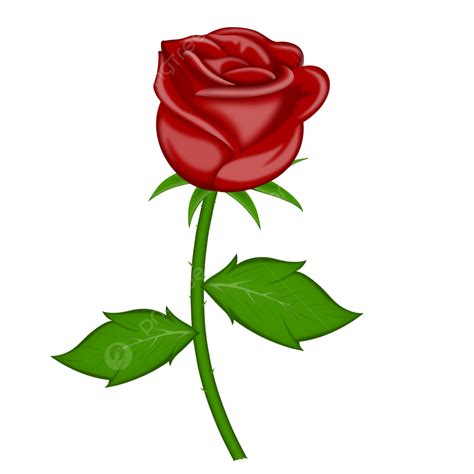 Gambar Bunga Mawar Png Vector Png Vector Download Fre