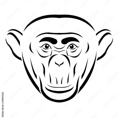 Chimpanzee Head Stock Vector Adobe Stock