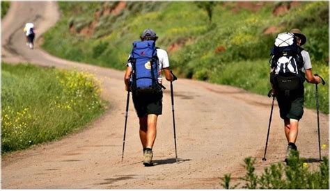 Guía Para Realizar El Camino De Santiago