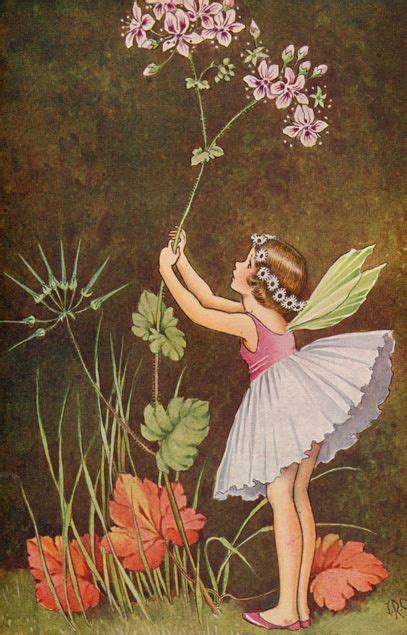 A Bunch Of Wild Flowers By Ida Rentoul Outhwaite On In 2020 Fairy