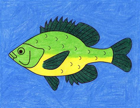Draw A Fish For Kids